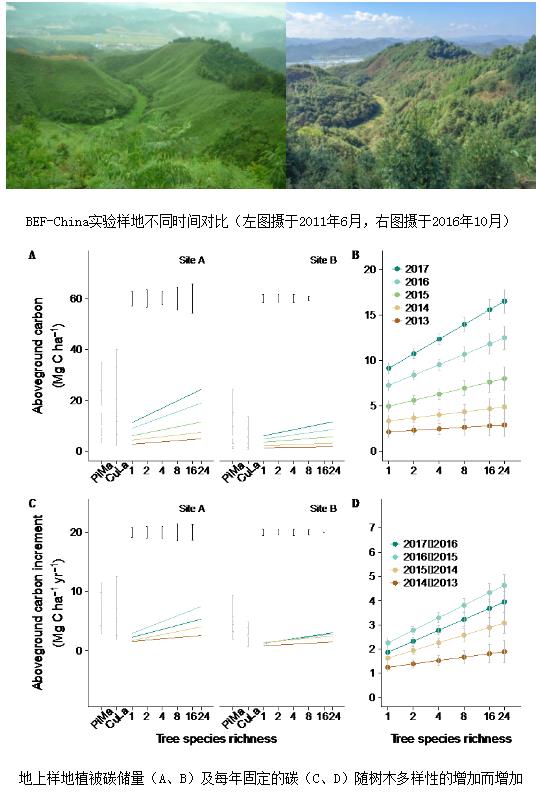 森林生态系统生物,森林生态系统生物与沙版安全策略评估，生态与技术的融合,实时解析数据_小版43.66.53