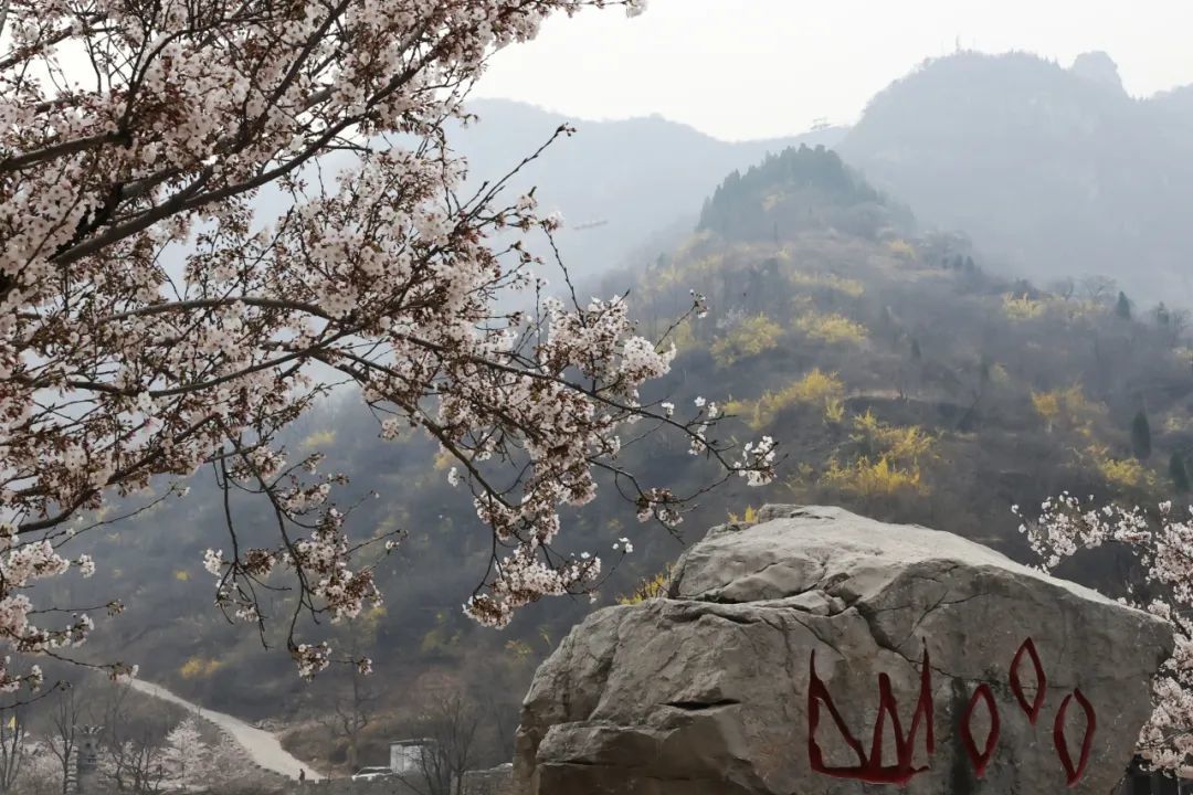 济南九龙峪风景区,济南九龙峪风景区，快速落实响应方案，打造卓越旅游体验,创新推广策略_nShop87.51.96