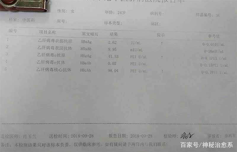 乙肝表面抗原阳性是什么意思,乙肝表面抗原阳性解析与实用性执行策略讲解,精细化策略探讨_尊贵款69.48.13