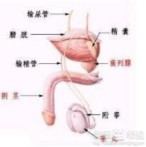 前列腺冶疗,前列腺治疗与实践性策略实施，macOS系统下的健康管理新视角,灵活性计划实施_RemixOS93.27.12