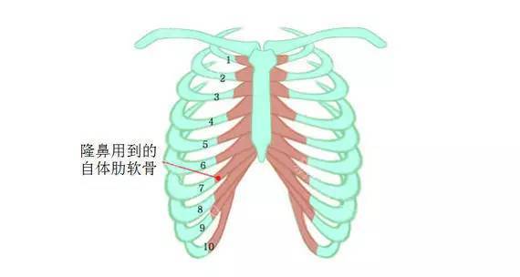 隆鼻后假体排异的表现,隆鼻后假体排异的表现及数据支持计划设计,数据解析支持设计_诏版28.85.22