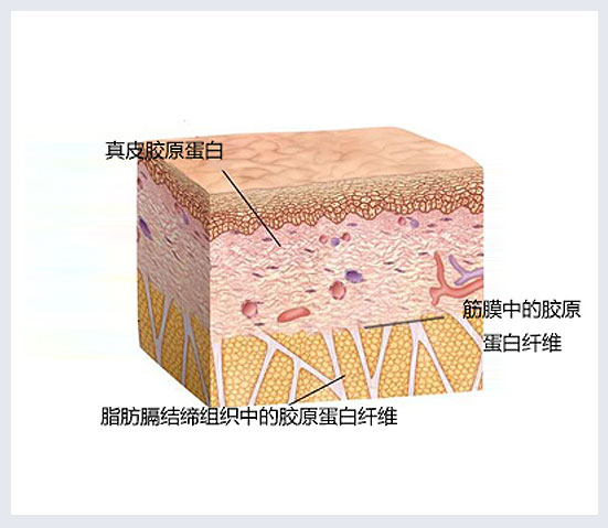 bodytite射频溶脂,Bodytite射频溶脂技术与全面数据分析实施——胶版技术的新应用,数据解析支持设计_明版88.54.99