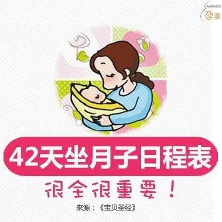 月子宝宝护理42天教程,月子宝宝护理42天教程与实时解析数据在娱乐版的应用,持久方案设计_WearOS73.52.37