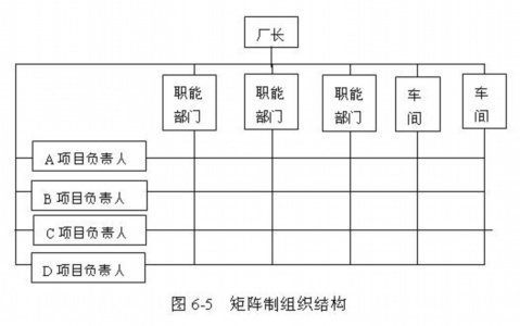 矩阵制织结构的优点是?,矩阵制织结构，优点与经典解释定义,快捷问题方案设计_尊贵款65.30.30