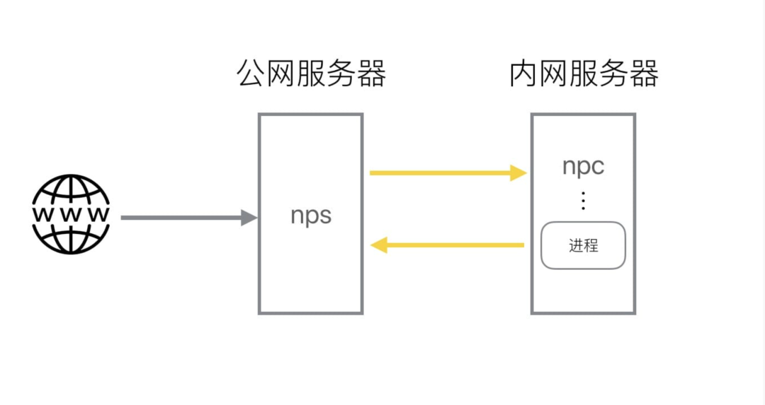 安全带的类别