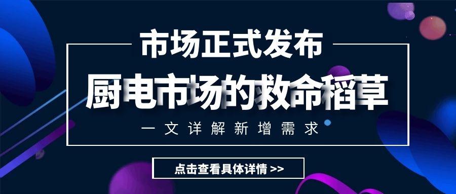 家用电器代理怎么样,家用电器代理业务与社会责任方案的执行，一个全面分析的游戏版,数据设计支持计划_VIP33.28.61