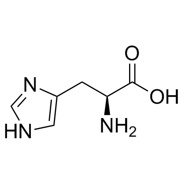 谷氨酰胺是氨的转运形式吗