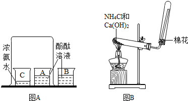 洗化油器