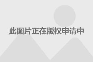 大众帕萨特滤芯底座,大众帕萨特滤芯底座的精细化分析说明——豪华款57.12.91,高效计划设计实施_Premium93.72.65