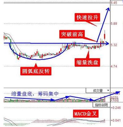 金蛇网马会开一肖