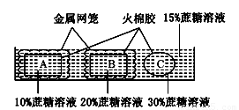 抗冲击膜是什么材质做的