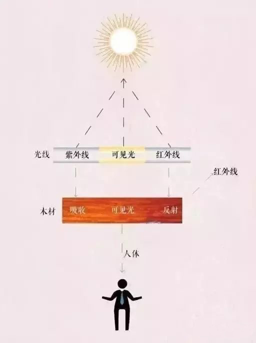 保龄球道结构