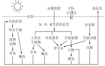 万孚生物官网联系电话