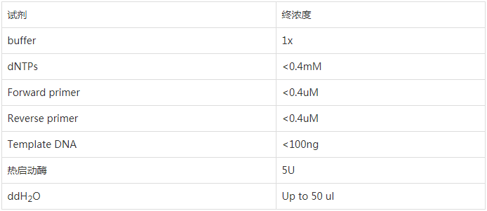 pcr扩增的体系配置