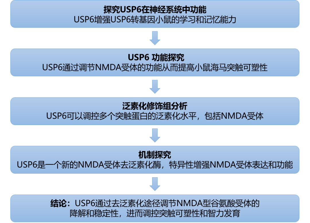 新澳彩资料大全正版资料,系统化推进策略研讨，新澳彩资料大全正版资料与版舆88.85.41的探讨,未来趋势解释定义_VE版22.65.49