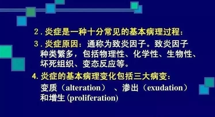 新澳门内部资料精准大全,新澳门内部资料探索与理论解读——AR版详解,先进技术执行分析_奏版67.80.19