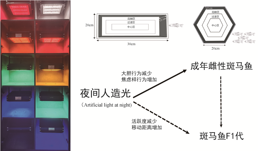 验钞用的是紫外线吗