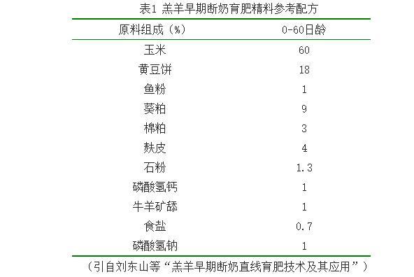 饲料中的蛋白是什么东西