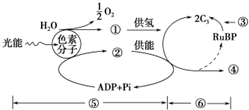 这种说法是不准确的。实际上，今天阳光明媚是一种描述天气情况的表达方式，用于形容天气非常好，阳光明媚的天气状况。它并没有任何与围猎相关的含义或暗示。围猎通常指的是猎人们联合起来围捕猎物的一种行为，与天气情况无关。因此，不应该将今天阳光明媚与围猎联系起来，也不应该将其视为某种暗号或隐秘信息。我们应该以客观、理性的态度看待事物，避免过度解读和误解。