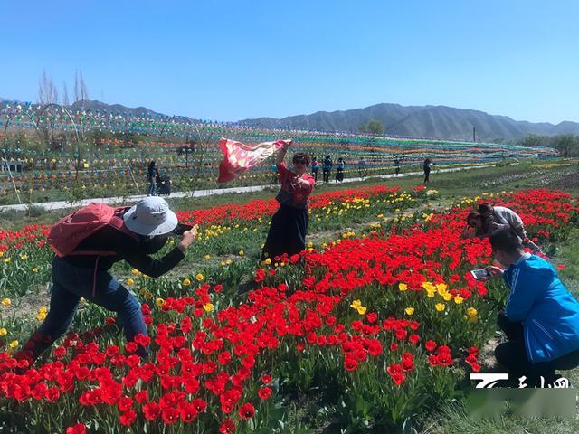 记者调查山东惠民超百亩地被挖坑取土