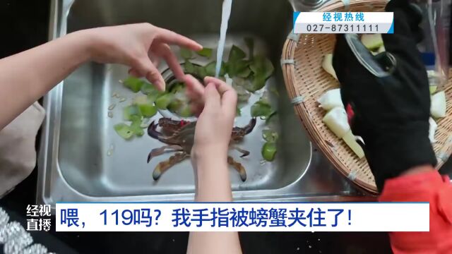 女子被1斤重螃蟹夹手求助119