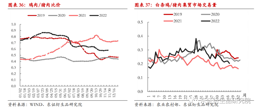 2025年生猪价格中枢同比或有所下移