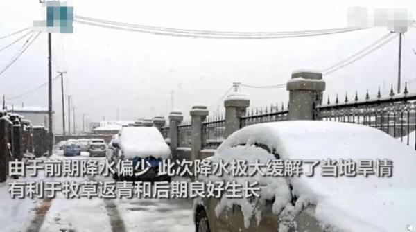 烟台突降鹅毛大雪